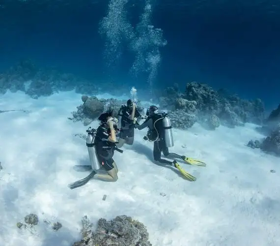 bora-bora-cours-de-plongee-sous-marine