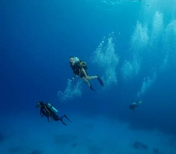 bora-bora-ocean-adventures-plongeurs-certifies-de-plongee-sous-marine