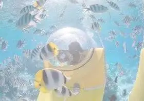 video-bora-bora-scooter-sous-marin-lagon-activite