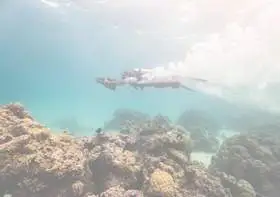 video-scuba-diving-jet-tour-bora-bora
